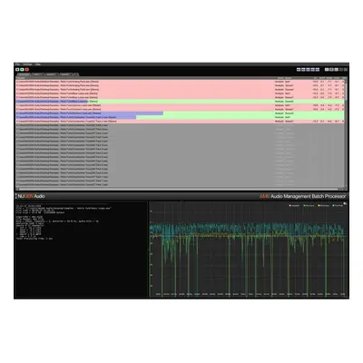 Nugen Audio AMB Loudness Module (Prodotto digitale)