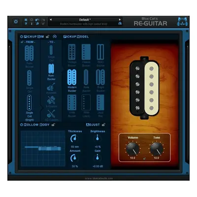 Blue Cat Audio Re-Guitar (Prodotto digitale)