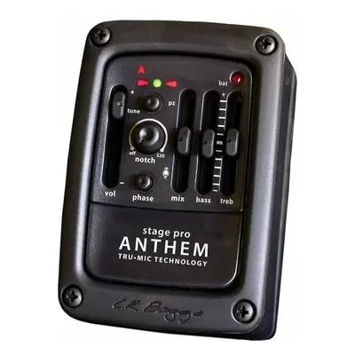 L.R. Baggs Anthem StagePro Pickups Chitarra Acustica