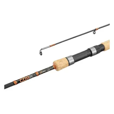 Delphin CORX Spin Hard Canna 2,4 m g parti