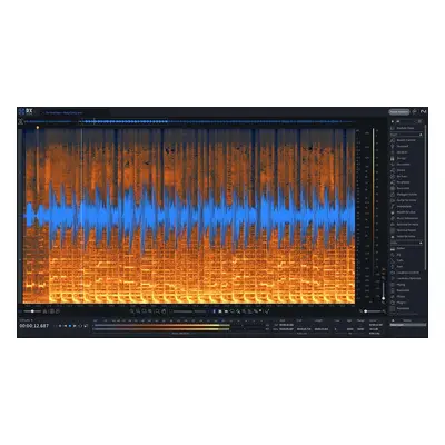 iZotope RX Standard EDU (Prodotto digitale)