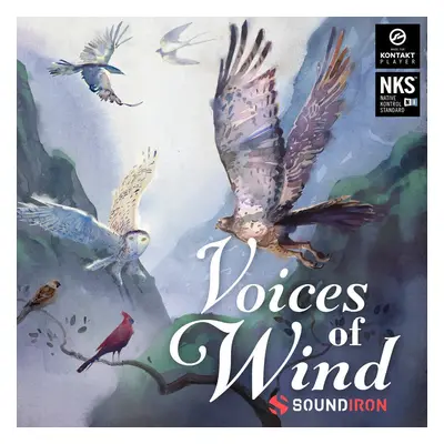 Soundiron Voices of Wind Collection (Prodotto digitale)