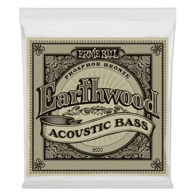 Ernie Ball Earthwood Corde Basso Acustico