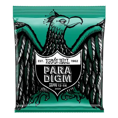 Ernie Ball Paradigm Not Even Slinky