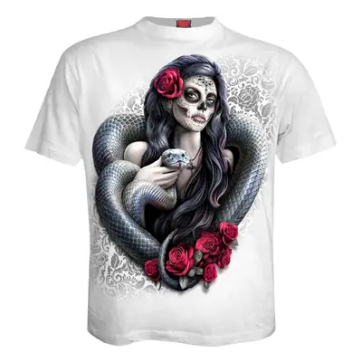 T-Shirt uomo - DOTD SNAKE - SPIRAL - 114K090M113