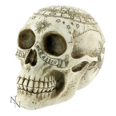 accessori Astrologica Skull