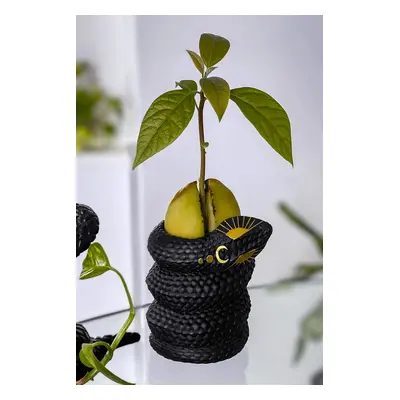 vaso (decorazione) KILLSTAR - Serpentina Bud - Nero