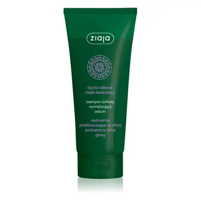 Ziaja Herbal shampoo per capelli grassi