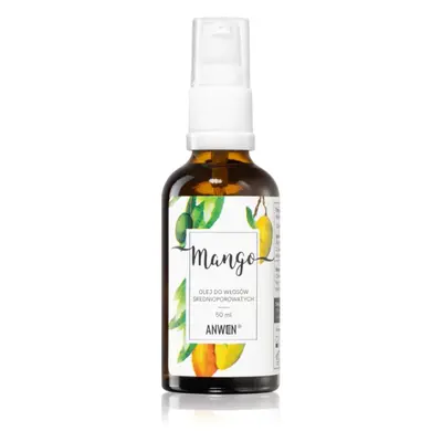 Anwen Mango olio nutriente per capelli Medium porosity