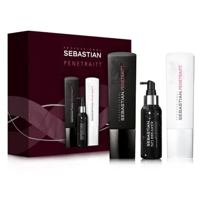 Sebastian Professional Penetraitt confezione regalo per capelli rovinati, trattati chimicamente