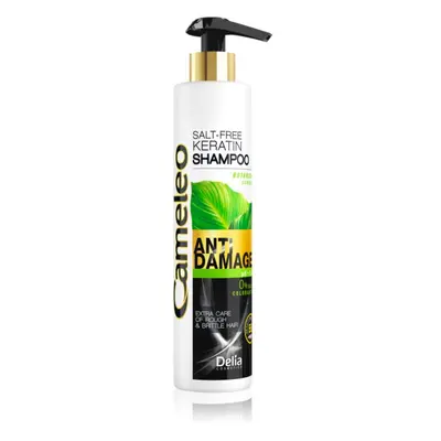 Delia Cosmetics Cameleo BB shampoo alla keratina per capelli rovinati