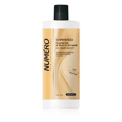 Brelil Professional Nourishing Shampoo shampoo nutriente con burro di karité