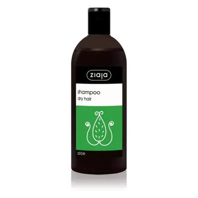 Ziaja Family Shampoo shampoo per capelli secchi e opachi con aloe vera