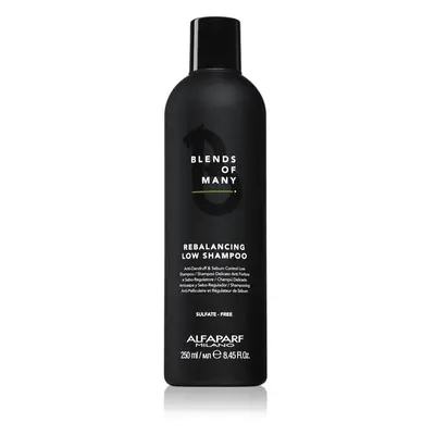 Alfaparf Milano Blends of Many Rebalancing shampoo antiforfora