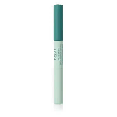 Payot Pâte Grise Stylo Duo Purifiant Correcteur correttore coprente per ridurre le imperfezioni