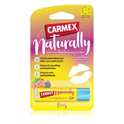 Carmex Berry burrocacao idratante in stick