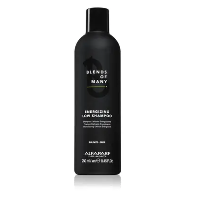 Alfaparf Milano Blends of Many Energizing shampoo energizzante per capelli delicati e mosci