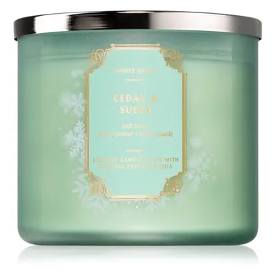 Bath & Body Works Cedar & Suede candela profumata