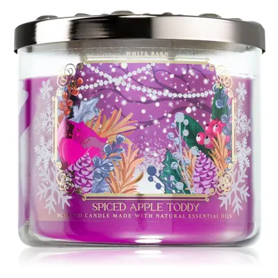 Bath & Body Works Spiced Apple Toddy candela profumata