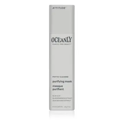 Attitude Oceanly Purifying Mask maschera detergente con argilla