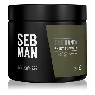 Sebastian Professional SEB MAN The Dandy pomata per capelli per un fissaggio naturale