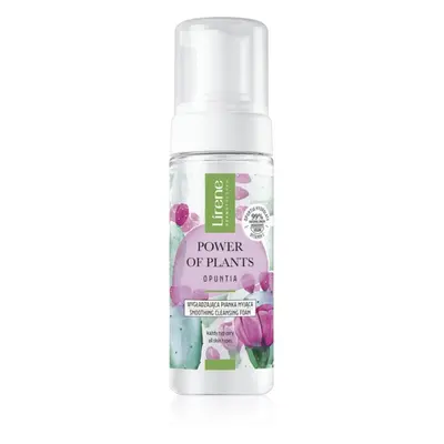 Lirene Power of Plants Opuntia mousse detergente delicata effetto lisciante