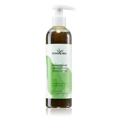 Soaphoria Hair Care shampoo liquido organico per capelli grassi