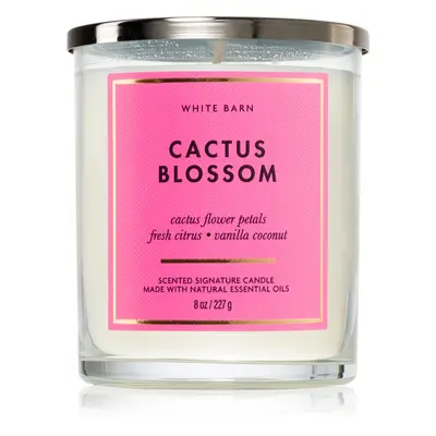 Bath & Body Works Cactus Blossom candela profumata