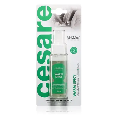 Mr & Mrs Fragrance Cesare Warm Spicy deodorante per automobili