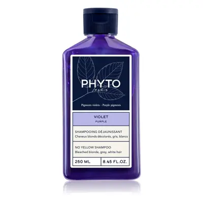 Phyto Purple No Yellow Shampoo shampoo colorato per capelli biondi e con mèches