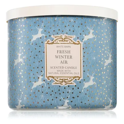 Bath & Body Works Fresh Winter Air candela profumata