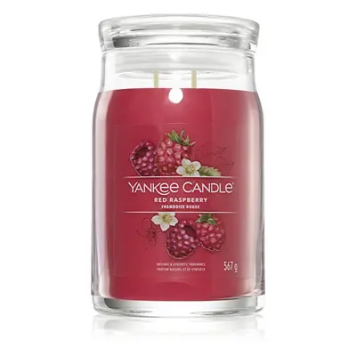 Yankee Candle Red Raspberry candela profumata I Signature