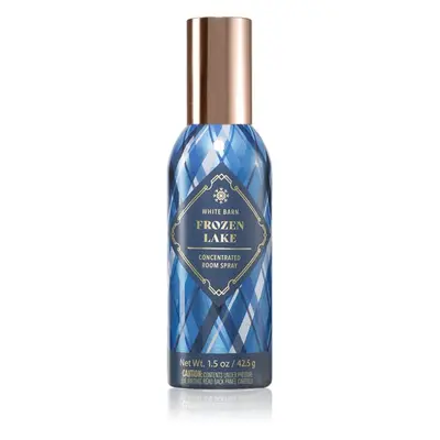 Bath & Body Works Frozen Lake profumo per ambienti