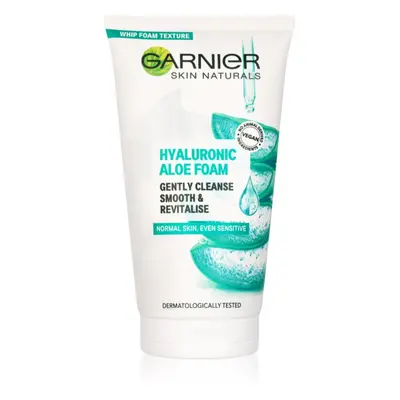 Garnier Skin Active Hyaluronic Aloe Foam mousse detergente