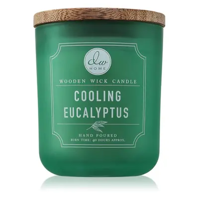 DW Home Signature Cooling Eucalyptus candela profumata