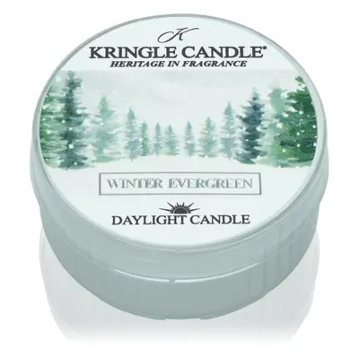 Kringle Candle Winter Evergreen candela scaldavivande