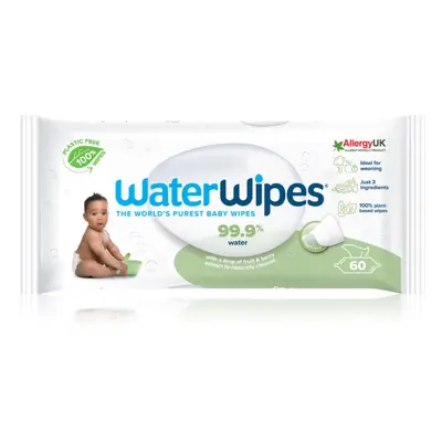 Water Wipes Baby Wipes Soapberry salviette umidificate per bambini