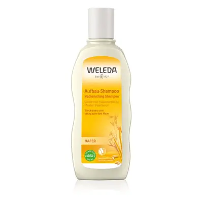 Weleda Oat shampoo rigenerante per capelli rovinati e secchi