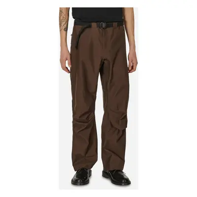 3L WR Arc Pants Soil Brown