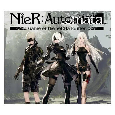 NieR: Automata Game of the YoRHa Edition Steam CD Key