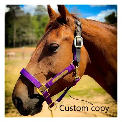 Custom Engraved Horse Halter Name Plate - Stainless Steel Personalized Id Tags For , , And Colla