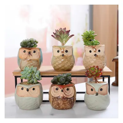 TEMU 6pcs/set Owl Pot Ceramic Flowing Glaze Base Serial Set Succulent Plant Pot Cactus Plant Pot