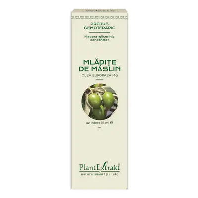 Germogli di olivo, 15 ml, Estratto vegetale