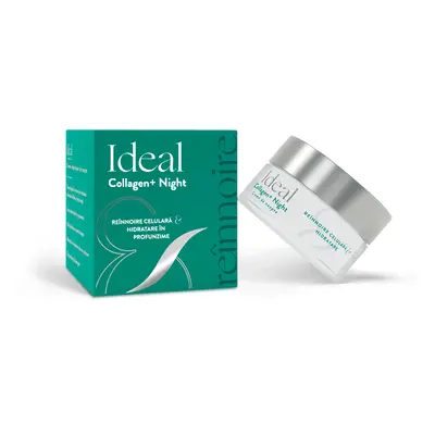 Crema riparatrice notte Ideal Collagen, 50 ml, Doctor Fiterman