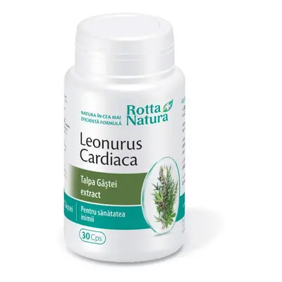 Leonurus Cardiaca - Estratto di zampa d'oca, 30 capsule, Rotta Natura