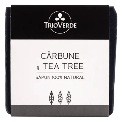 Sapone naturale con carbone e tea tree, 110 g, Green Trio