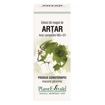 Estratto di gemme d'acero, 50 ml, estratto vegetale