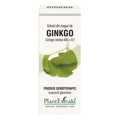 Estratto di gemme di Ginkgo Biloba, 50 ml, estratto vegetale