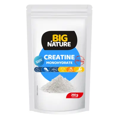 Creatina monoidrato 250 g Big Nature