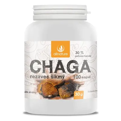 Allnature Chaga 1×100 cps, integratore alimentare